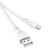 High-Speed 20W Micro USB Charging Cable with 1000mm Length – PVC Material
